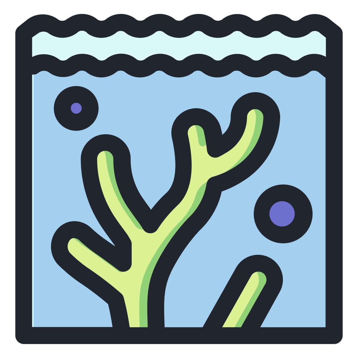 corail icon
