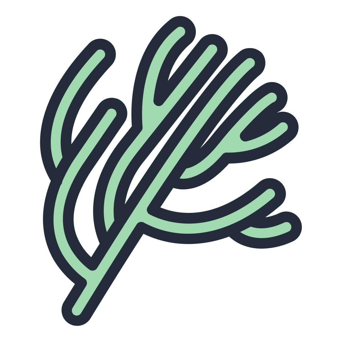 dill icon