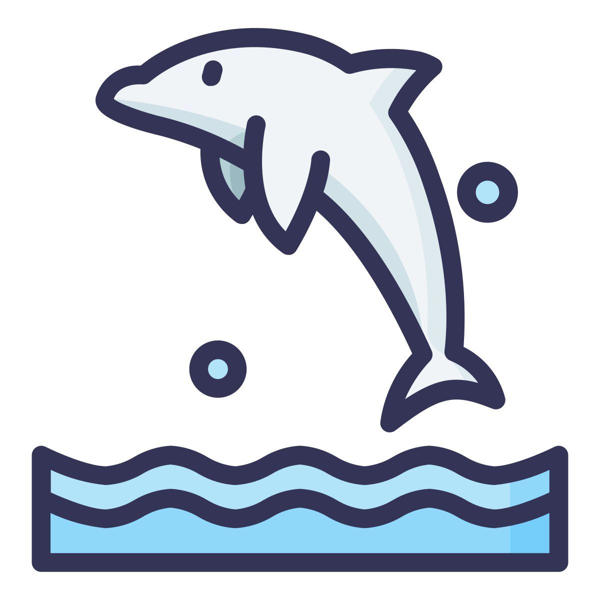海豚 icon