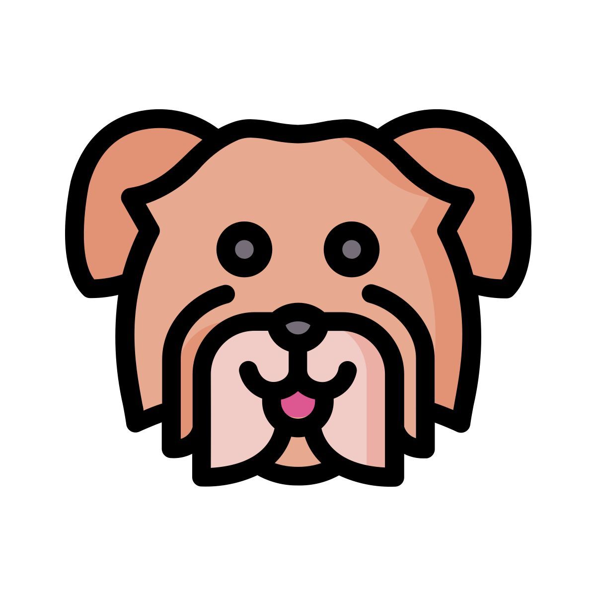 havanese dog icon