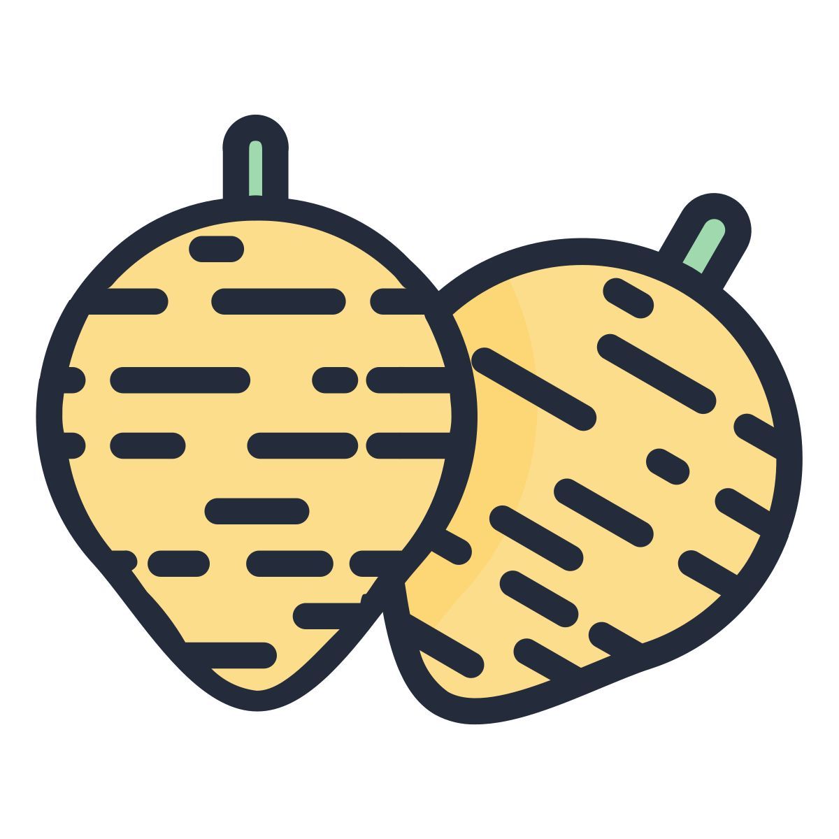 jicama icon