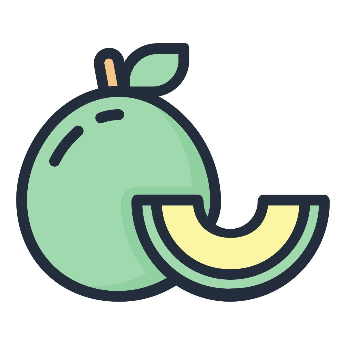 melon icon