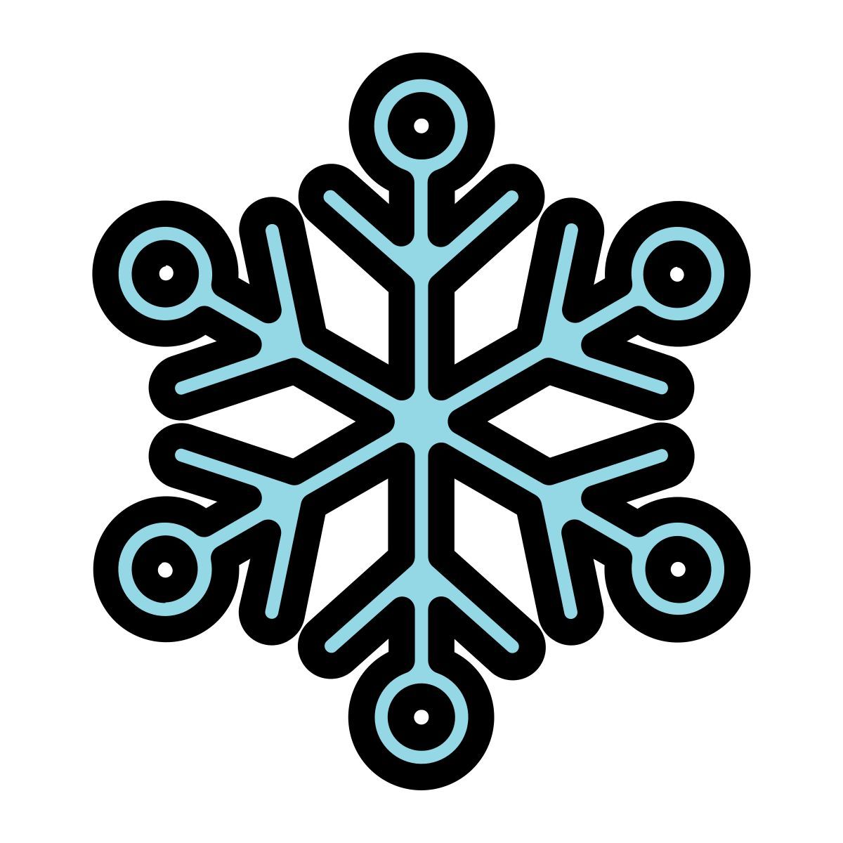 snowflake icon