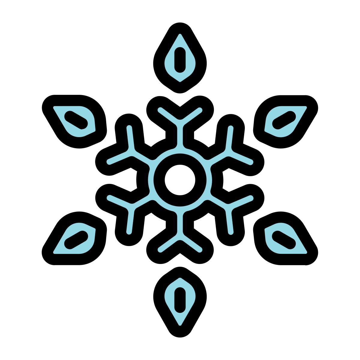 snowflake icon