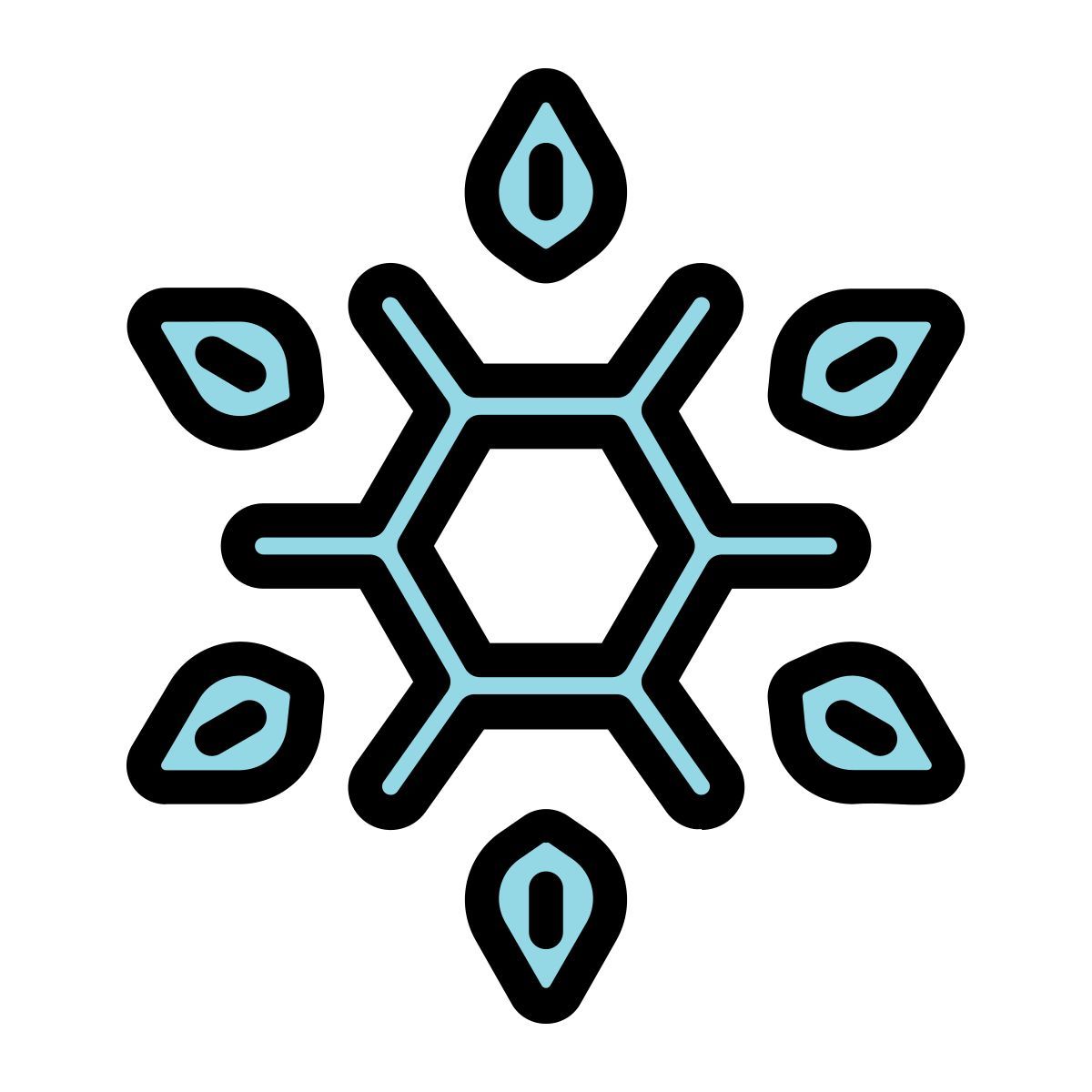 snowflake icon