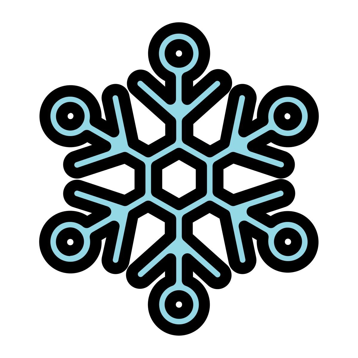 snowflake icon