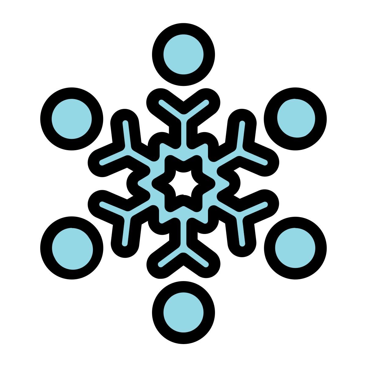 snowflake icon
