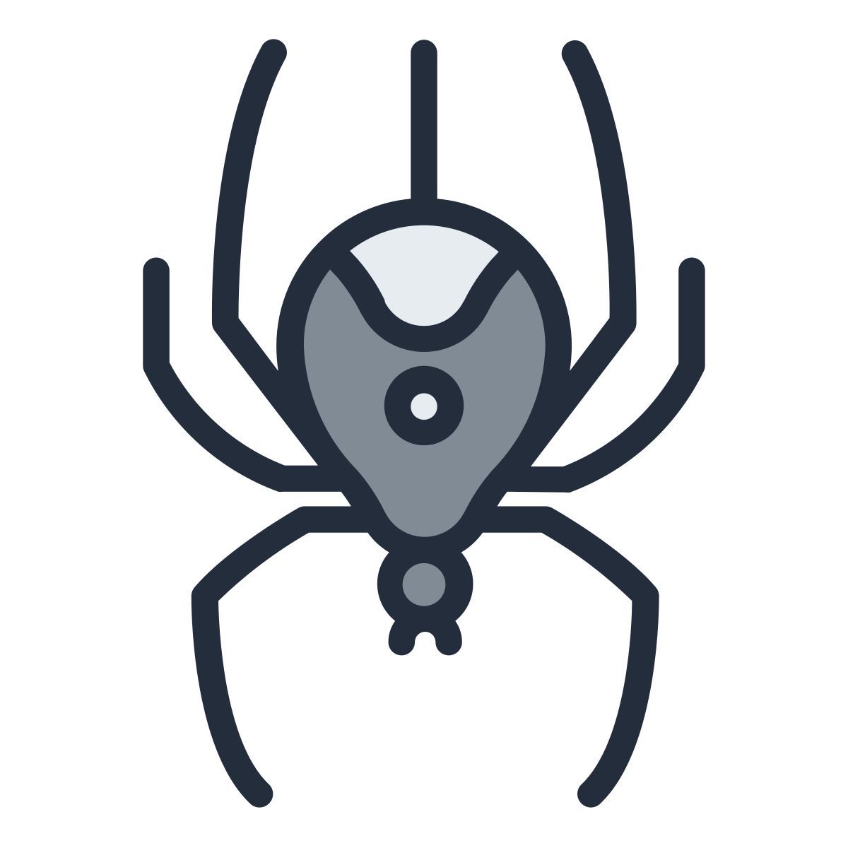 spider icon