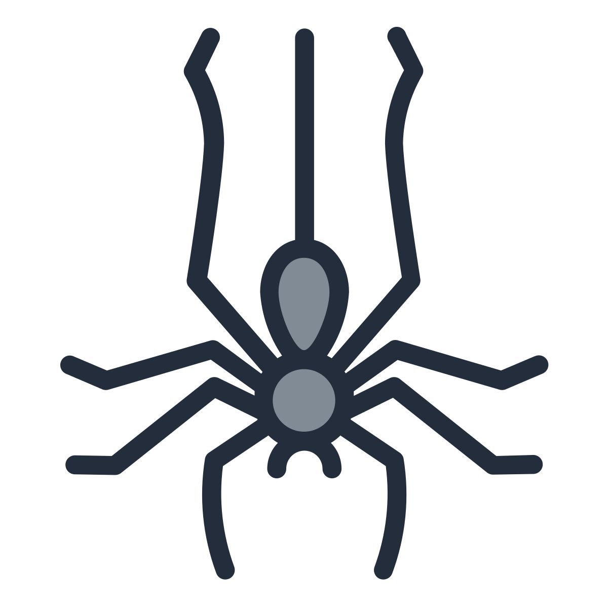 spider icon