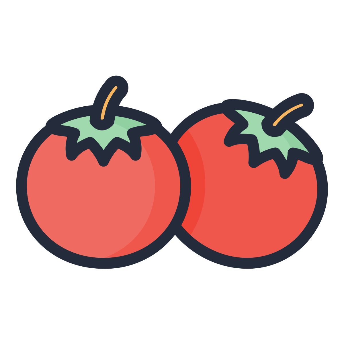 tomate icon