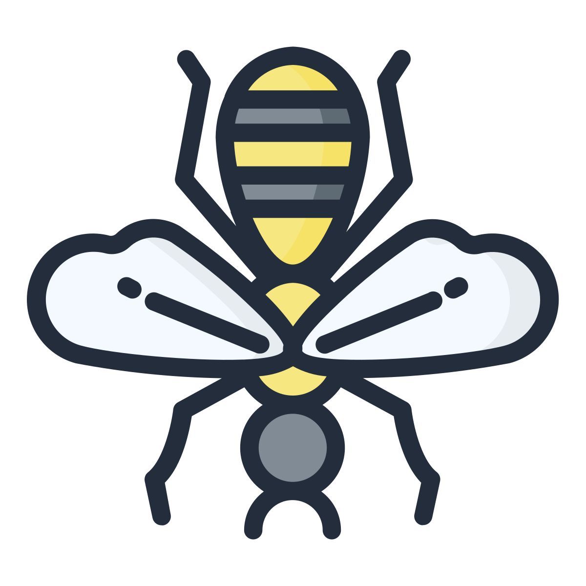 wasp icon