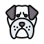 external bulldog-dogs-filled-outline-lima-studio icon