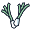 external onion-vegetable-filled-outline-lima-studio icon