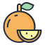 external orange-fruit-filled-outline-lima-studio icon