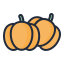 external pumpkin-vegetable-filled-outline-lima-studio icon