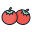 external tomato-vegetable-filled-outline-lima-studio icon