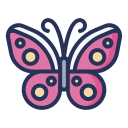 external butterfly-spring-filled-outline-lima-studio-2 icon