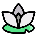 external nature-flower-filled-outline-lima-studio-19 icon