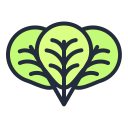 external oregano-vegetable-2-filled-outline-lima-studio icon