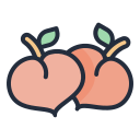 external peach-fruit-filled-outline-lima-studio icon