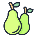 external pear-fruit-filled-outline-lima-studio icon