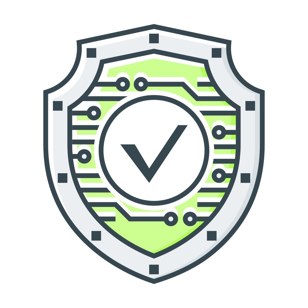 security icon