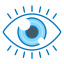 Vision Icon