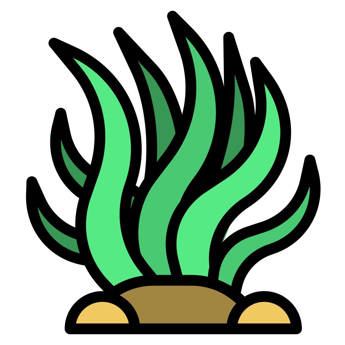 seaweed icon