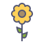 external blossom-spring-filled-outlines-amoghdesign icon