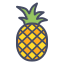 external fruit-fruits-and-vegetables-filled-outlines-amoghdesign icon