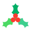 external berries-christmas-flat-amoghdesign icon