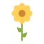 external blossom-spring-flat-amoghdesign icon