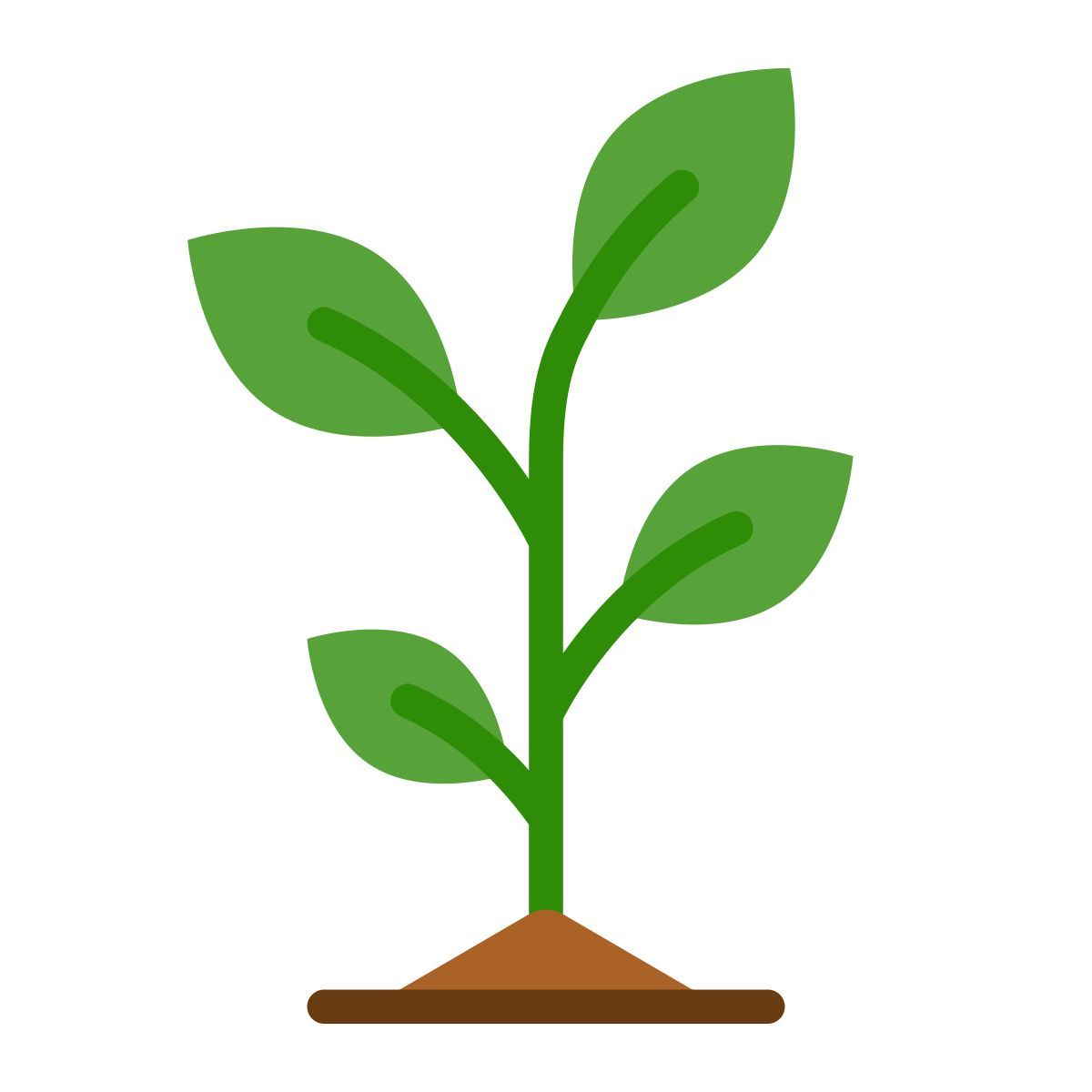 植物 icon