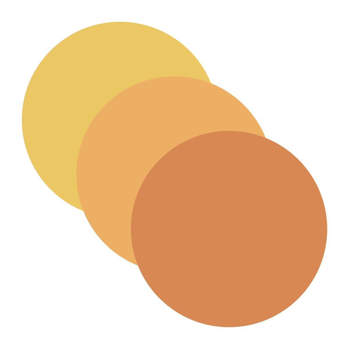 cerchio icon