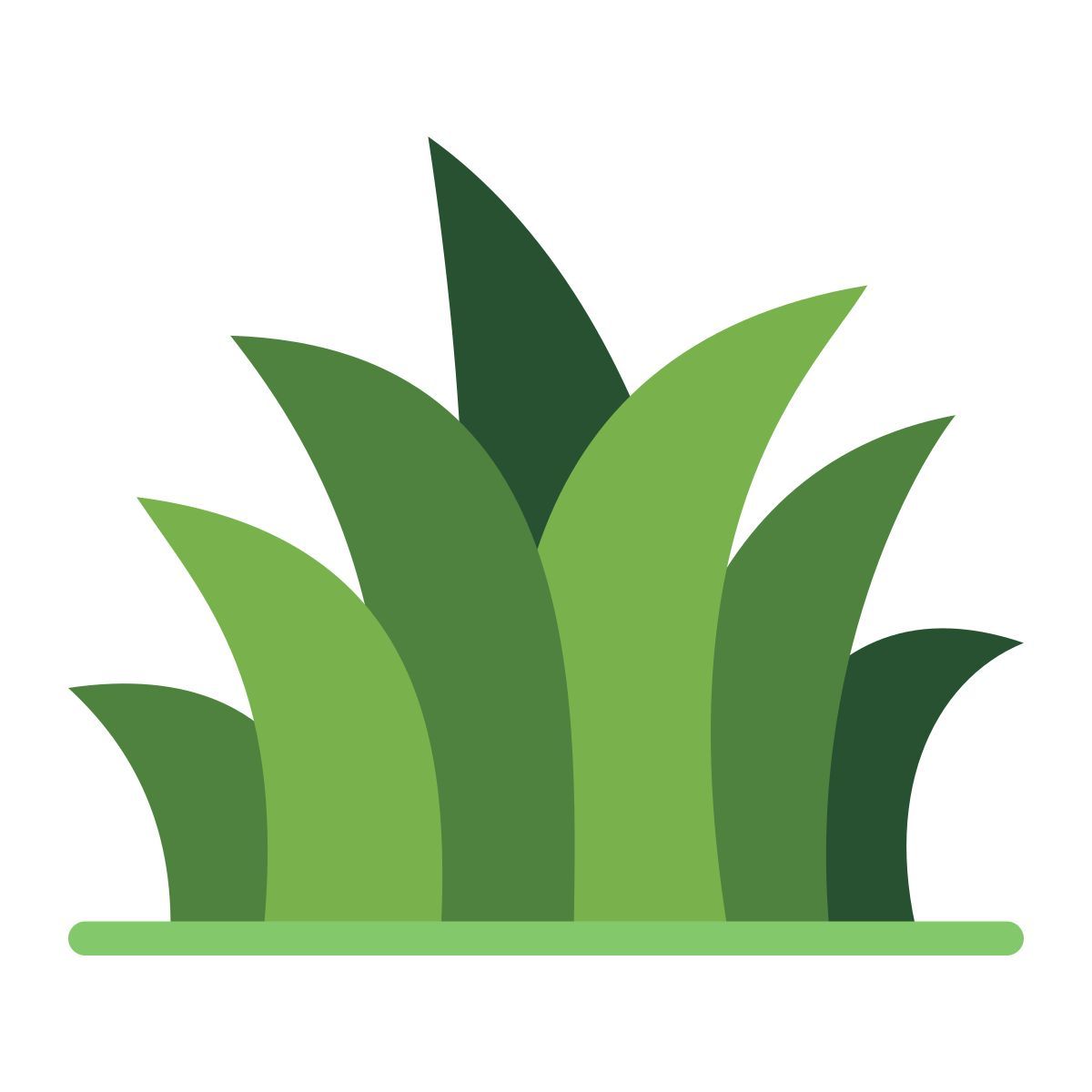 grass icon