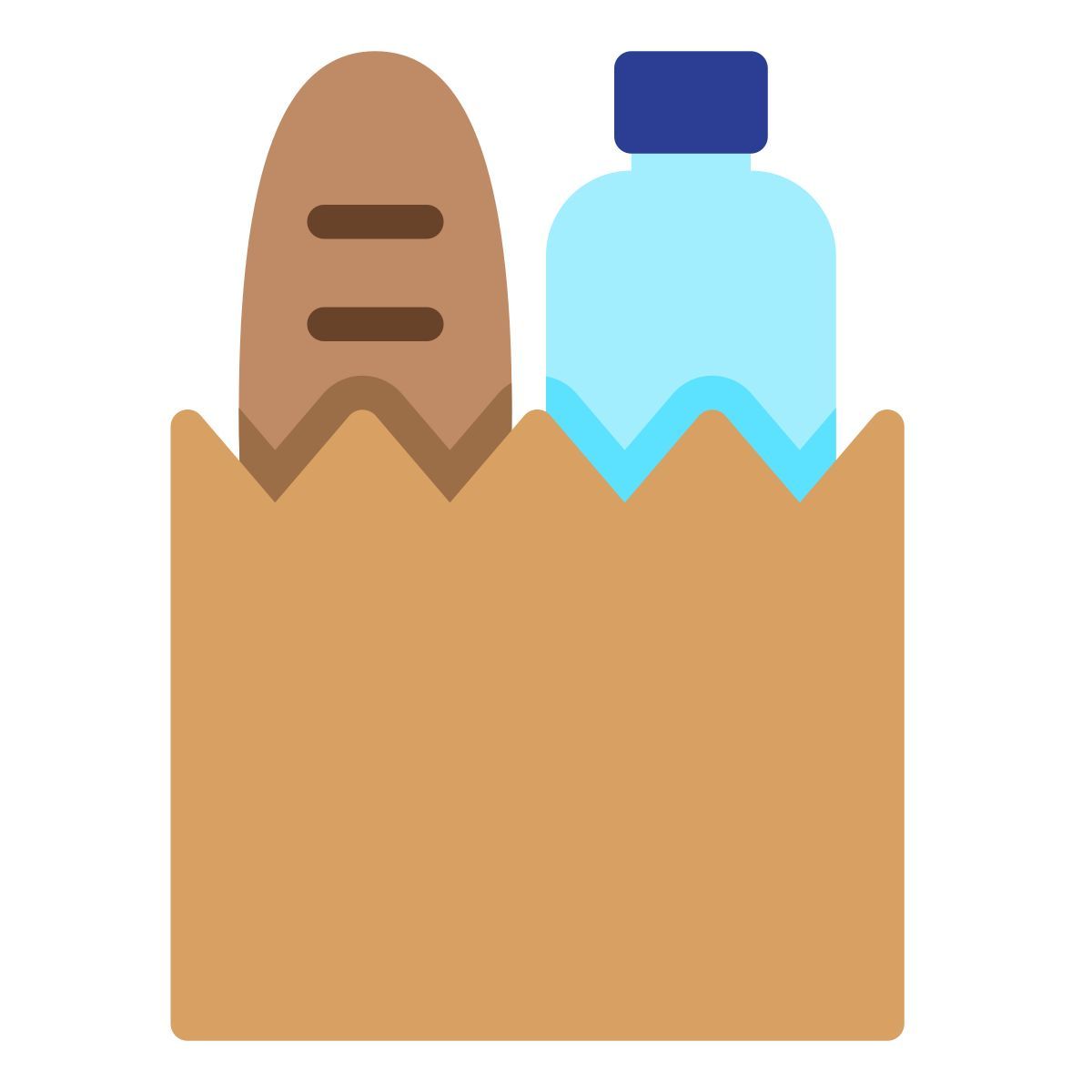 vista frontal del bolso icon