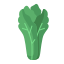 external lettuce-vegetable-and-fruit-flat-flat-andi-nur-abdillah icon
