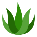 external Aloe-Vera-spa-(flat)-flat-andi-nur-abdillah icon