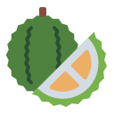 external Durian-indonesia-(flat)-flat-andi-nur-abdillah icon