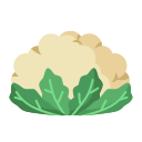 external cauliflower-vegetable-and-fruit-flat-flat-andi-nur-abdillah icon