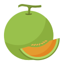 external melon-vegetable-and-fruit-flat-flat-andi-nur-abdillah icon