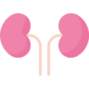 external Kidney-healthcare-flat-berkahicon icon