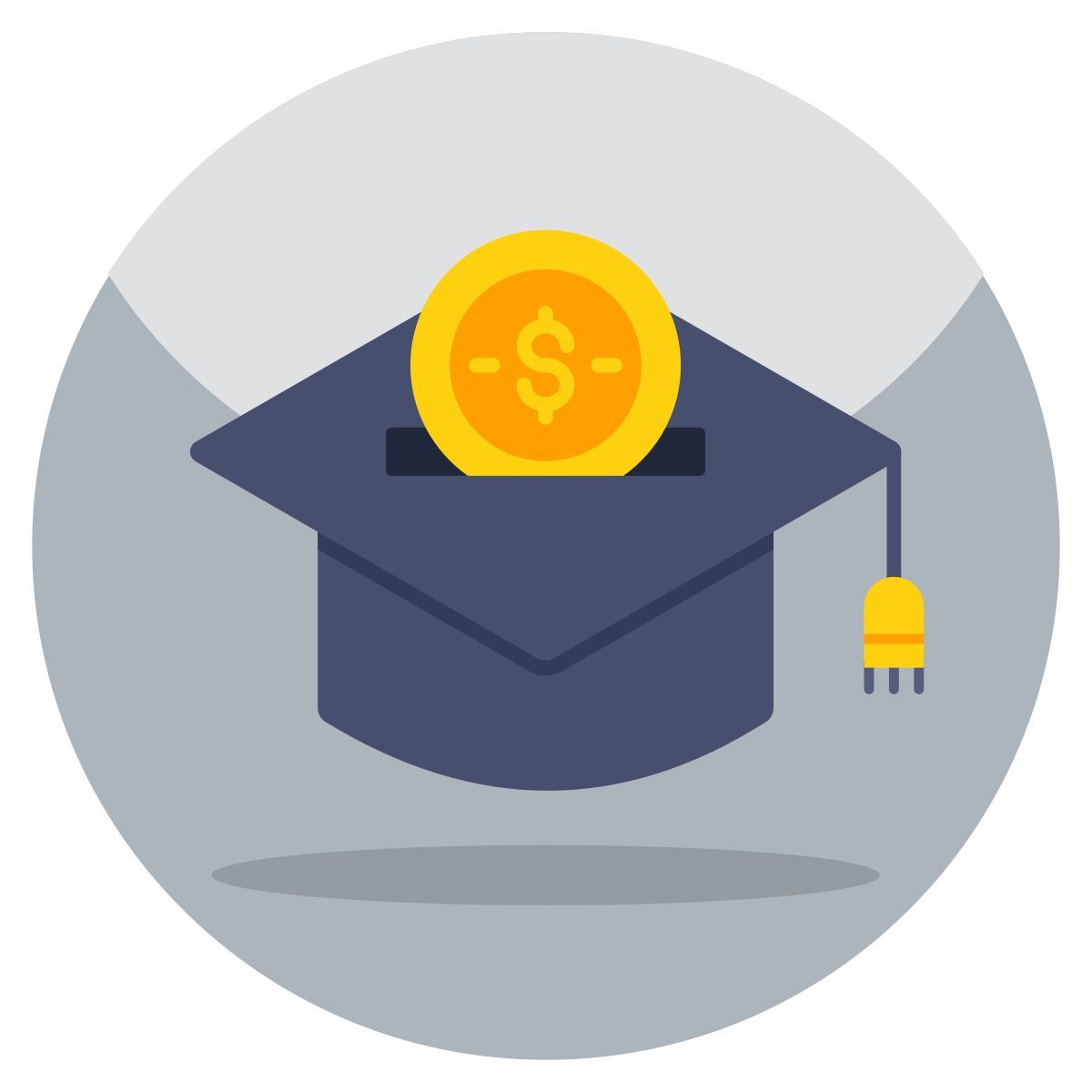educational grant icon