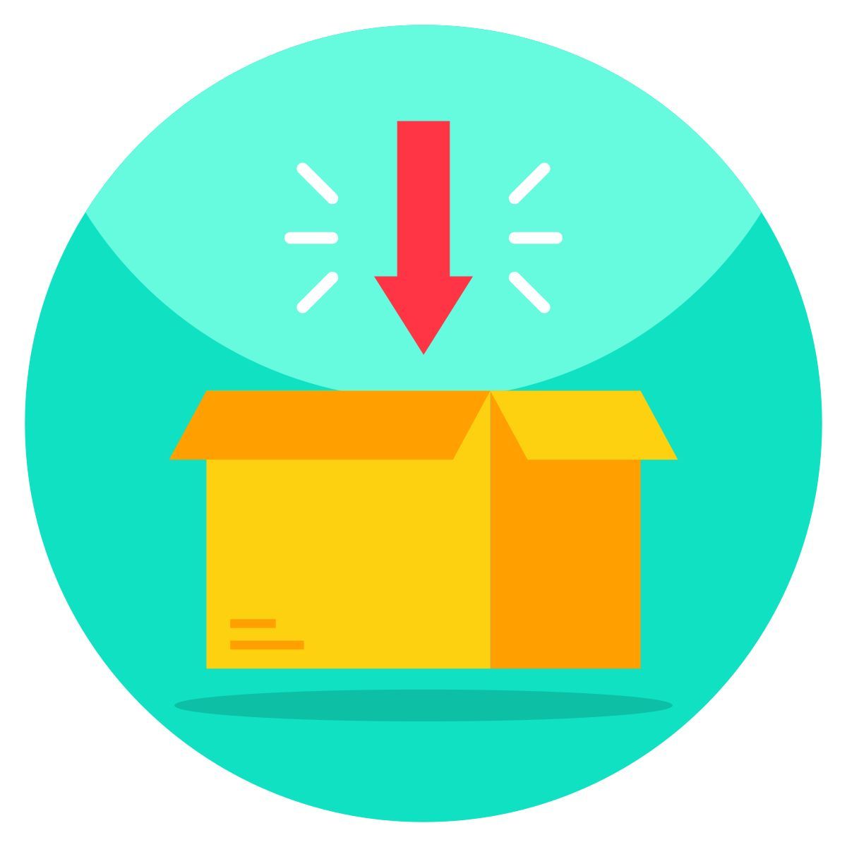 conditionnement icon