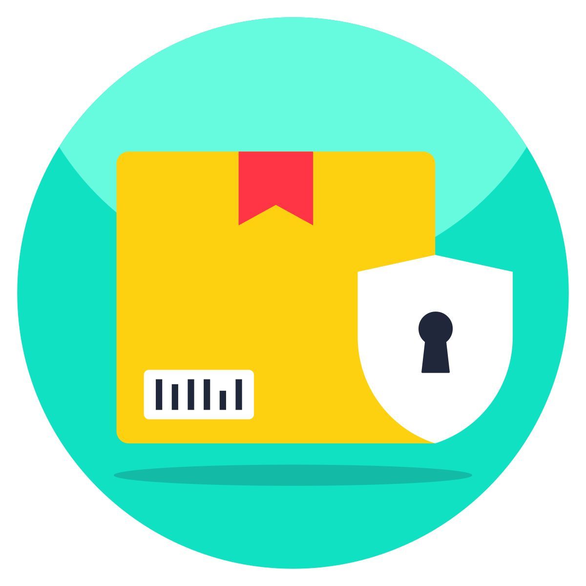 Sicurezza dei pacchi icon