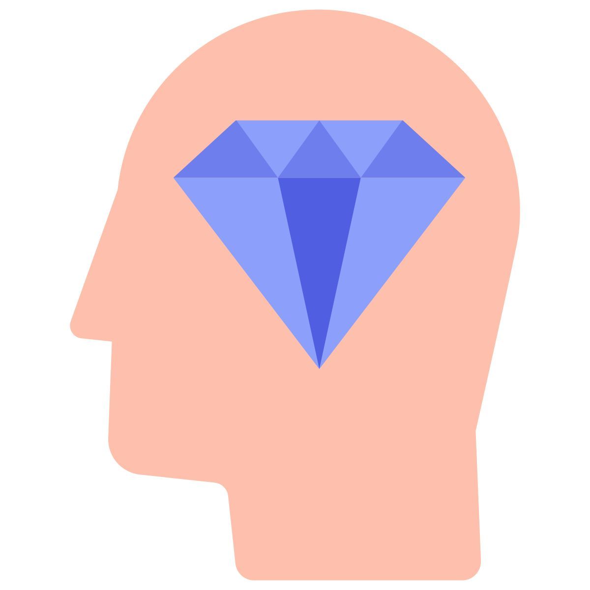 premium icon