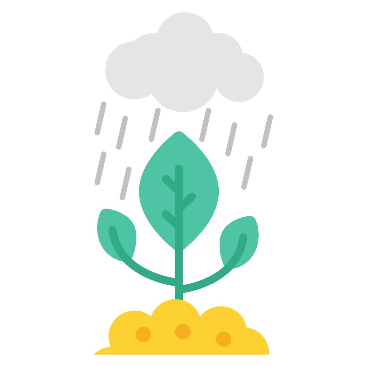 rain icon