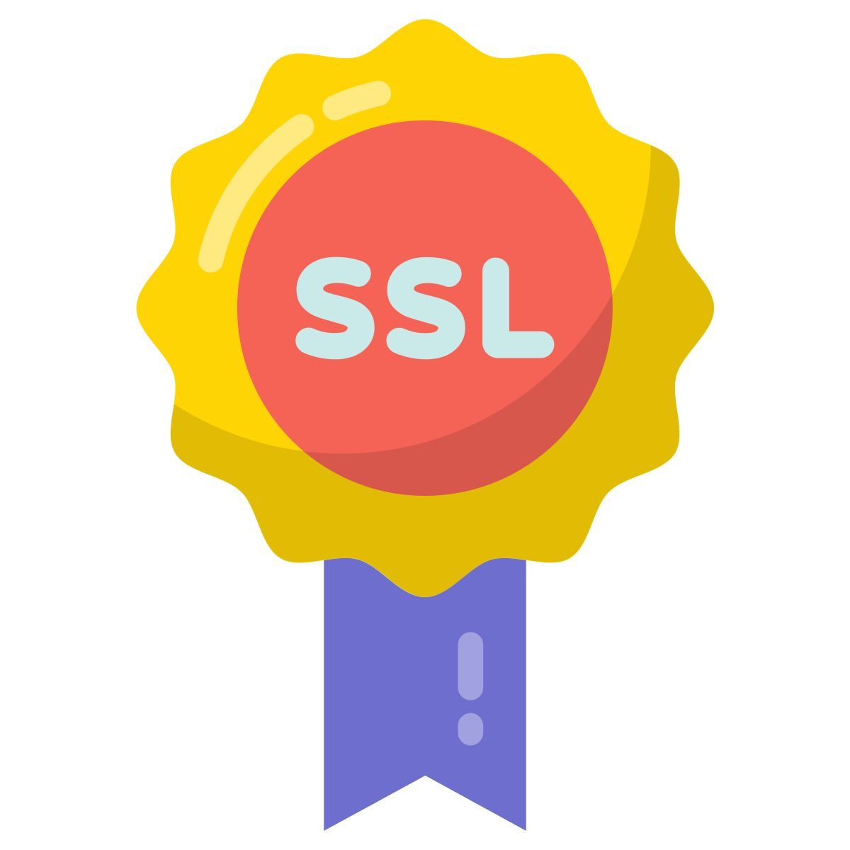 ssl icon