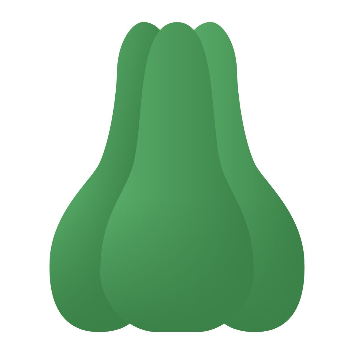 chayote icon