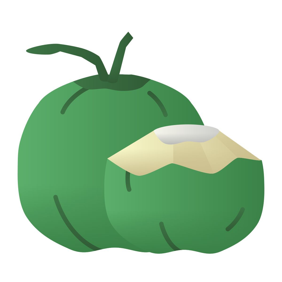 kokosnuss icon